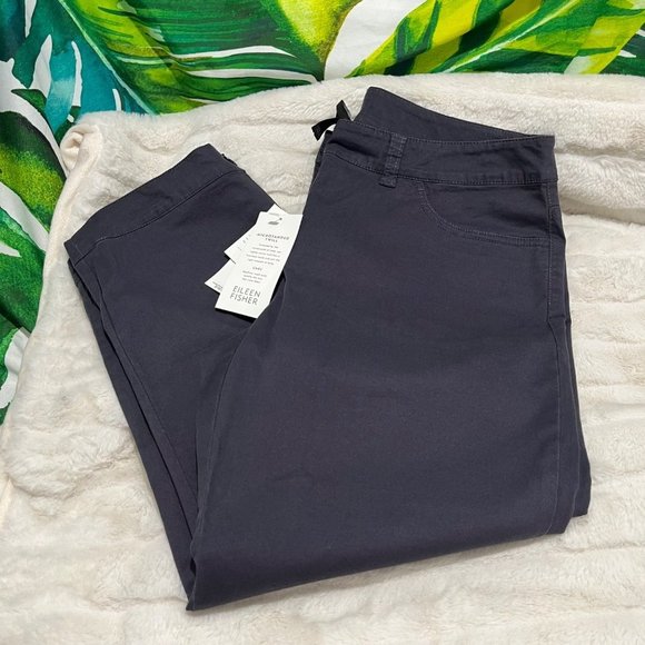 NWT $158 Eileen Fisher Small Purple Grey Clam Digger Cropped Zip Hem Luxe Pants - Picture 2 of 10